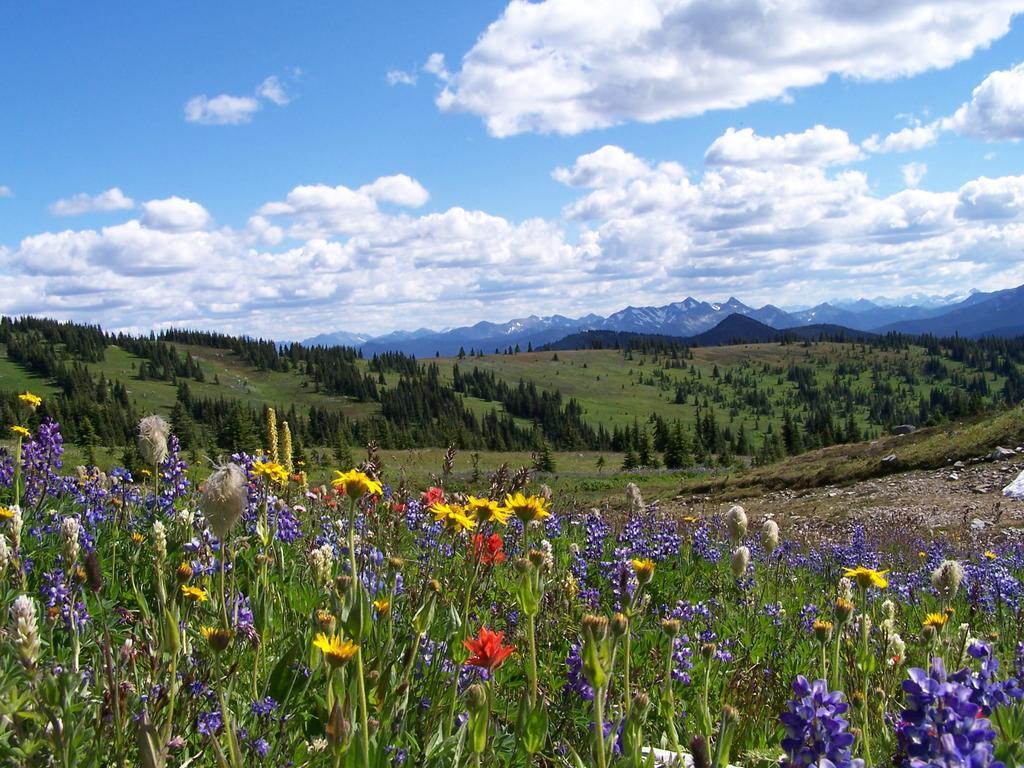 Manning Park Resort Manning Park